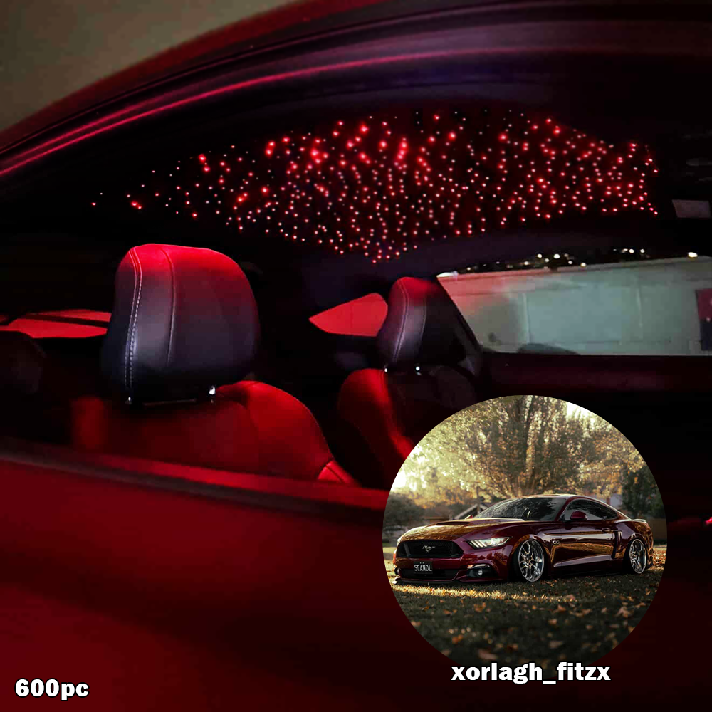 BushBash Starlight Kit