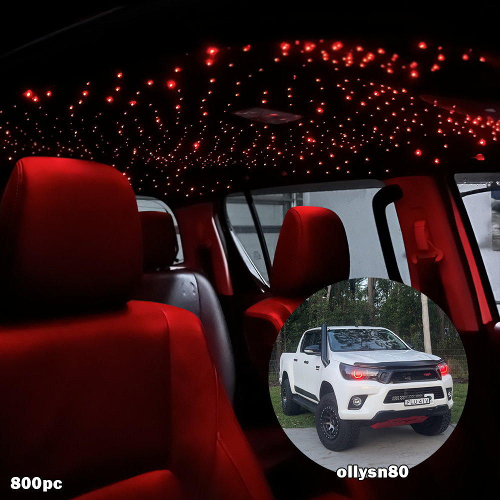 BushBash Starlight Kit