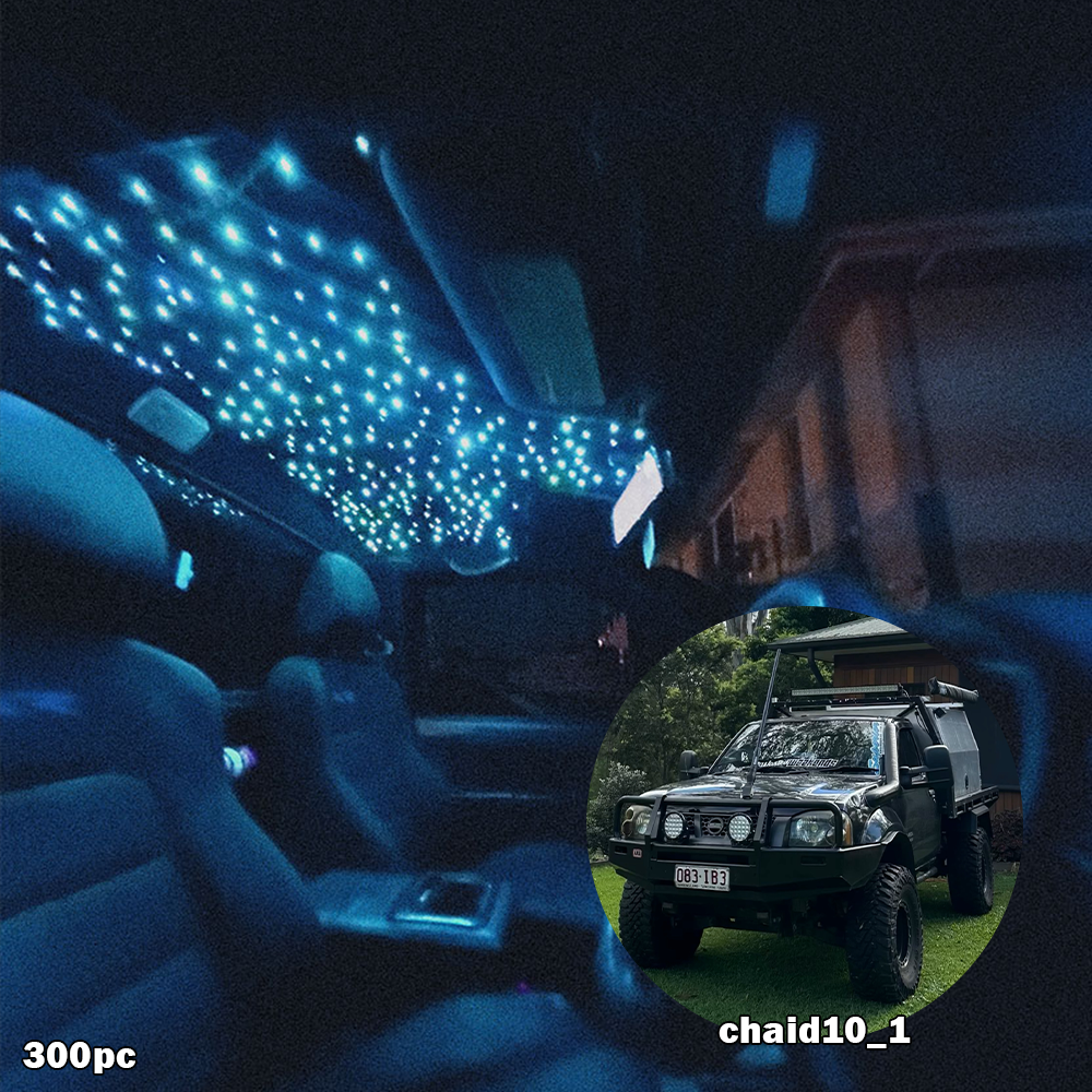 BushBash Starlight Kit