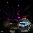 BushBash Starlight Kit